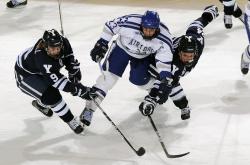 开云体育下载-温网惜败夜未眠，美网称王终破茧，德约科维奇的逆转史诗