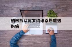 开云体育官方网站-柏林熊队阿罗纳维桑恩遭遇伤病的简单介绍