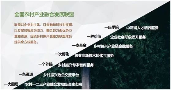 联盟新政策实施，球队备战就获重大动力