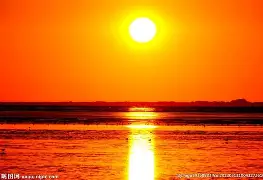 太阳迷场地成铁匠铺,家队苦战豹子在劫难逃