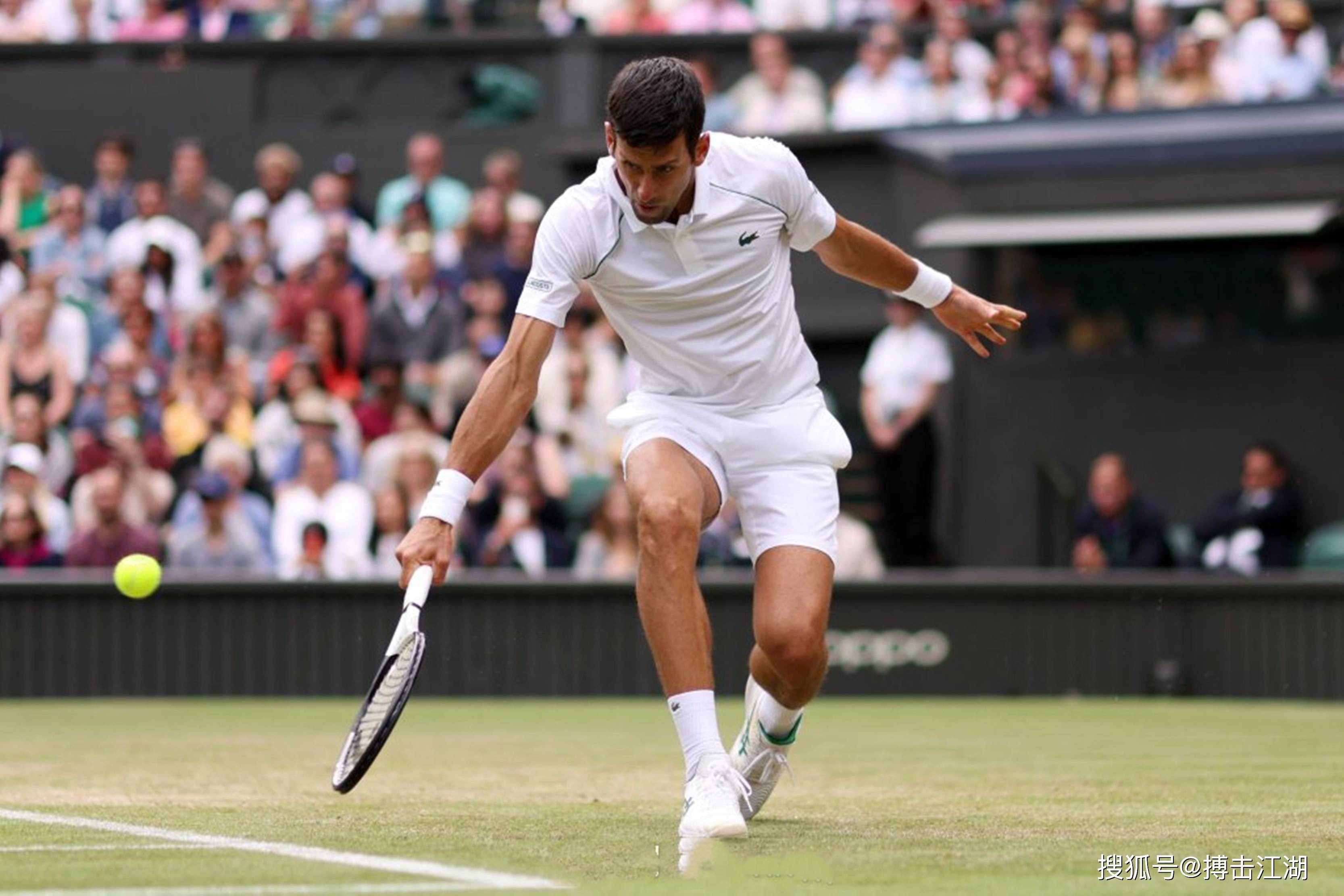 关于年终总决赛绝杀拉沃尔杯，德约科维奇状态火热的信息