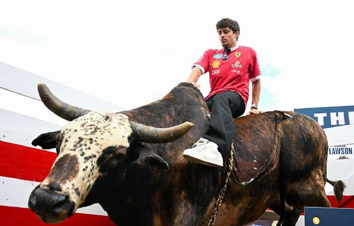 关于红牛车队逆转威廉姆斯，勒克莱尔关键制胜的信息