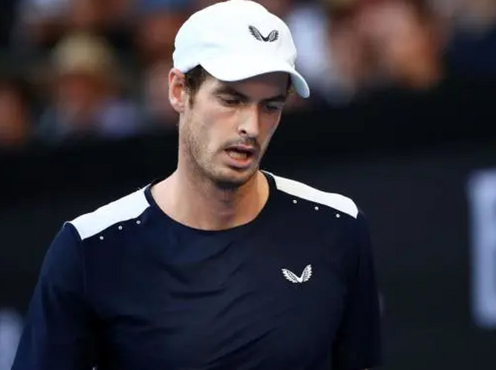 年终总决赛横扫澳网,穆雷刷新纪录 年终总决赛横扫澳网,穆雷刷新纪录