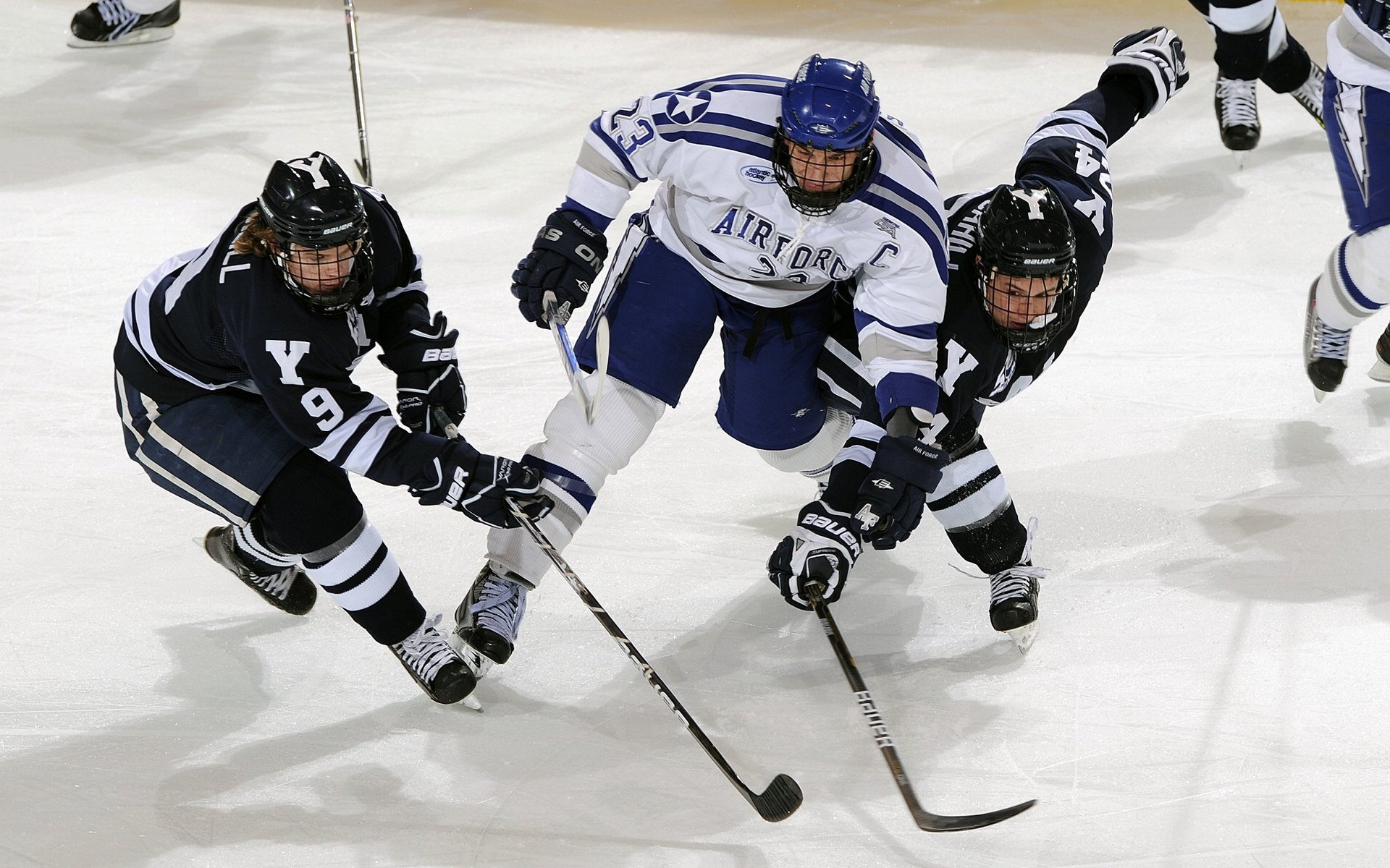 温网惜败夜未眠，美网称王终破茧，德约科维奇的逆转史诗